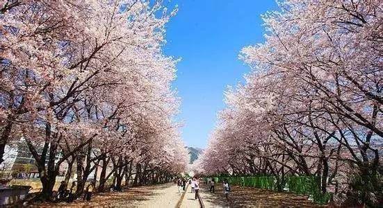 選大學(xué)，只知道985雙一流還不夠，這些大學(xué)標(biāo)簽?zāi)阒绬幔?