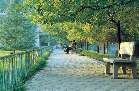 普通大學(xué)里的王牌專(zhuān)業(yè)一覽表！考生＆家長(zhǎng)收藏！