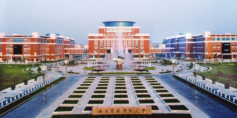 西北農(nóng)林科技大學(xué)：如何創(chuàng)建世界一流農(nóng)業(yè)大學(xué)