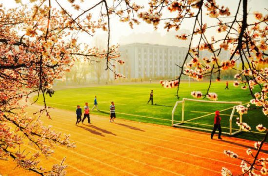 江蘇：2018年綜合評價錄取改革考核方式